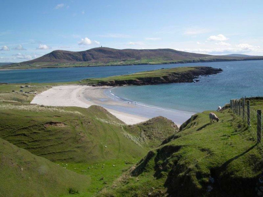 THENCF Gaeltacht Express